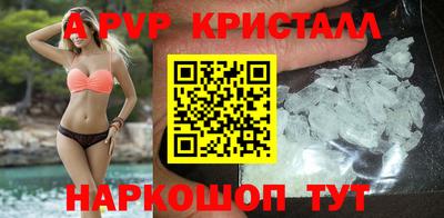 скорость Донской