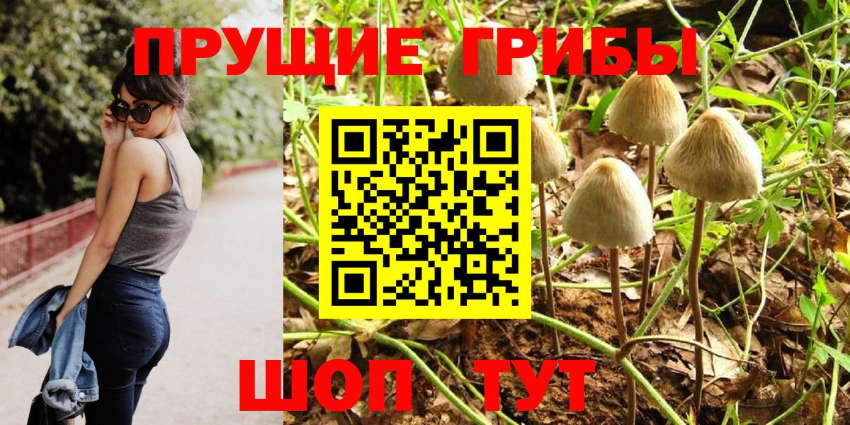 Псилоцибиновые грибы Psilocybine cubensis  Галлюциногенные грибы прущие грибы  Чистополь  Вход с VPN 