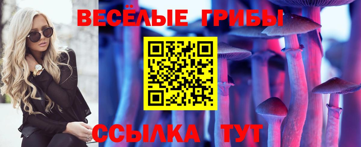 Галлюциногенные грибы Psilocybine cubensis Чистополь